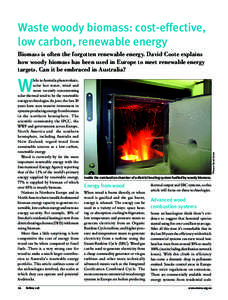 Waste woody biomass: cost-effective, low carbon, renewable energy Biomass is often the forgotten renewable energy. David Coote explains how woody biomass has been used in Europe to meet renewable energy targets. Can it b