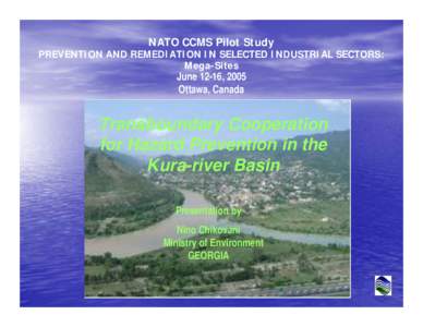 NATO CCMS Pilot Study  PREVENTION AND REMEDIATION IN SELECTED INDUSTRIAL SECTORS: Mega-Sites  June 12-16, 2005
