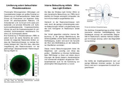 Limitierung extern beleuchteter Photobioreaktoren Phototrophe Mikroorganismen (Mikroalgen und Cyanobakterien) bergen ein großes Potential zur Gewinnung von Hochwertprodukten. Neben dem Einsatz als Produzenten von bioakt