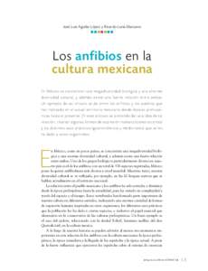 José Luis Aguilar López y Ricardo Luría Manzano nnnnnnn Los anfibios en la cultura mexicana En M é x i c o s e c o nc e nt r a n u n a m e g a d i v e r si d a d b i o l ó g i c a y u n a e n o r m e