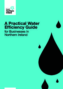 A Practical Water Efficiency Guide for Businesses in Northern Ireland  Executive Summary