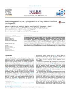 FEBS Letters–835  journal homepage: www.FEBSLetters.org End-binding protein 1 (EB1) up-regulation is an early event in colorectal carcinogenesis