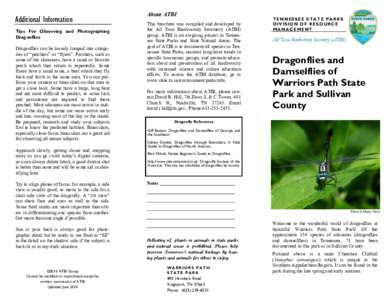 Additional Information Tips For Observing and Photographing Dragonflies Dragonflies can be loosely lumped into categories of “perchers” or “flyers”. Perchers, such as some of the skimmers, have a usual or favorit