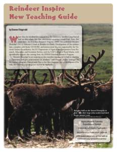 Reindeer Inspire New Teaching Guide by Doreen Fitzgerald W