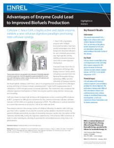 Advantages of Enzyme Could Lead to Improved Biofuels Production Cellulase C. bescii CelA, a highly active and stable enzyme, exhibits a new cellulose digestion paradigm promoting inter-cellulase synergy. C. bescii CelA, 