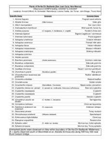 Astereae / Cryptantha / Eriogonum / Gutierrezia / Aliciella / Ipomopsis / Penstemon / Astragalus / Gilia / Asterids / Medicinal plants / Polemoniaceae
