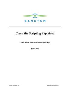 Cross Site Scripting Explained Amit Klein, Sanctum Security Group June 2002  ¤2002 Sanctum Inc.