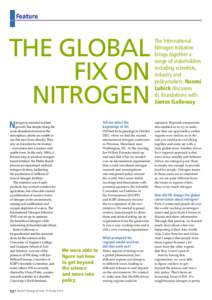 Feature  The Global Fix on Nitrogen N