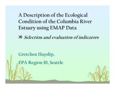 A Description of the Ecological Condition of the Columbia River Estuary using EMAP Data Selection and evaluation of indicators Gretchen Hayslip, EPA Region 10, Seattle