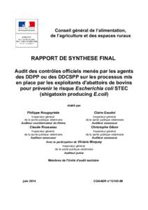 Conseil général de l’alimentation, de l’agriculture et des espaces ruraux RAPPORT DE SYNTHESE FINAL Audit des contrôles officiels menés par les agents des DDPP ou des DDCSPP sur les processus mis