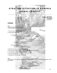 Microsoft Word - Stray dog situation in Romania. Animal cruelty.doc