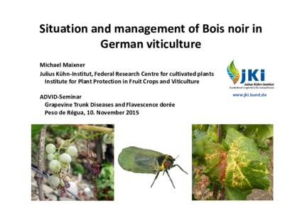 Situation and management of Bois noir in German viticulture Michael Maixner Julius Kühn-Institut, Federal Research Centre for cultivated plants Institute for Plant Protection in Fruit Crops and Viticulture ADVID-Seminar