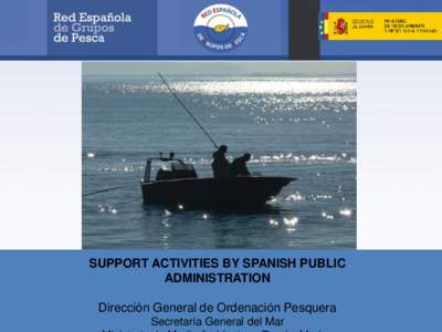 SUPPORT ACTIVITIES BY SPANISH PUBLIC ADMINISTRATION Dirección General de Ordenación Pesquera Secretaría General del Mar  GROUPS IN SPAIN