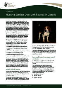 FACT SHEET  Hunting Sambar Deer with hounds in Victoria Hounds have been used to hunt Sambar Deer for over 100 years in Victoria. Hunting Sambar Deer with hounds can be an effective way to hunt Sambar Deer