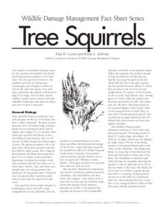 Wildlife Damage Management Fact Sheet Series  Tree Squirrels Paul D. Curtis and Kristi L. Sullivan Cornell Cooperative Extension, Wildlife Damage Management Program