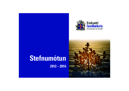 Stefnum tun[removed][removed]:40 Page 1 C M  Y