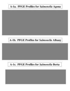 A-1a. PFGE Profiles for Salmonella Agona  A-1b. PFGE Profiles for Salmonella Albany A-1c. PFGE Profiles for Salmonella Berta