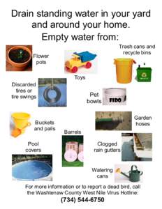 Drain standing water in your yard and around your home. Empty water from: Trash cans and recycle bins