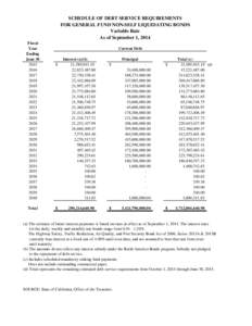 Schedule of Debt Service Requirements