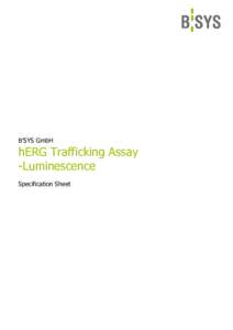 B’SYS GmbH  hERG Trafficking Assay -Luminescence Specification Sheet