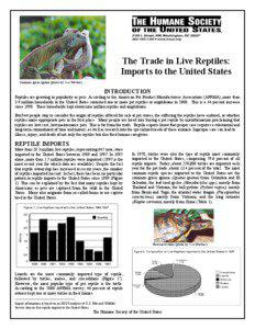 The Trade in Live Reptiles: Imports to the United States Common green iguana (photo by TomWebber)