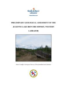 PRELIMINARY GEOLOGICAL ASSESSMENT OF THE JULIENNE LAKE IRON ORE DEPOSIT, WESTERN LABRADOR James Conliffe, Geological Survey of Newfoundland and Labrador