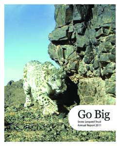 Go Big Snow Leopard Trust Annual Report 2011 Dear Friends, The Snow Leopard Trust has always prided itself on small, effective grassroots projects. But