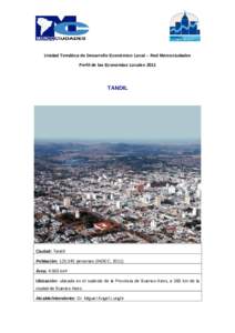 Unidad Temática de Desarrollo Económico Local – Red Mercociudades Perfil de las Economías Locales 2011 TANDIL  Ciudad: Tandil