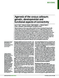 REVIEWS  Agenesis of the corpus callosum: genetic, developmental and functional aspects of connectivity Lynn K. Paul*‡, Warren S. Brown‡, Ralph Adolphs*, J. Michael Tyszka*,