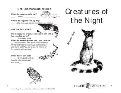 LIFE UNDERGROUND EXHIBIT What do kangaroo rats eat? ______seeds____________ Where do ringtails rest by day? ____rocky outcrops, caves, crevices, tree hollows