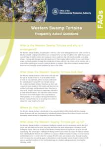 FAQs  Western Swamp Tortoise Frequently Asked Questions  What is the Western Swamp Tortoise and why is it