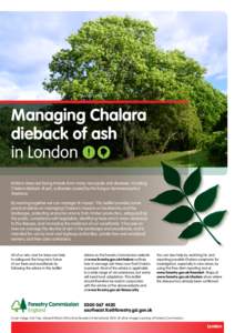 Managing Chalara dieback of ash in London Britain’s trees are facing threats from many new pests and diseases, including Chalara dieback of ash, a disease caused by the fungus Hymenoscyphus fraxineus.