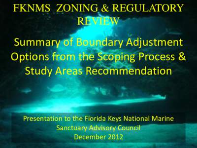 FKNMS ZONING & REGULATORY REVIEW Summary of Boundary Adjustment Options from the Scoping Process & Study Areas Recommendation