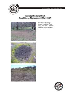Namadgi National Park Feral Horse Management Plan 2007 Feral Horse Damage Bimberi Flat 2006 – (top) Jack’s Flat 2003 – (middle) Rock Flat 2004 – (Lower)