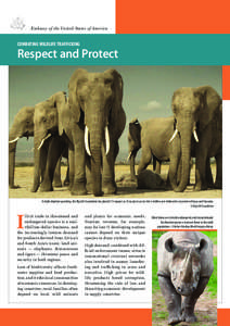 Embassy of the United States of America  COMBATING WILDLIFE TRAFFICKING Respect and Protect