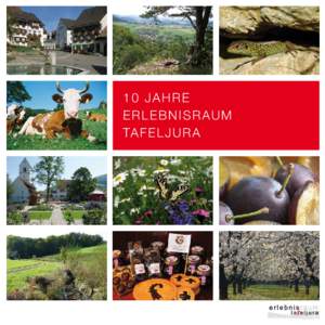 10 JAHRE ERLEBNISRAUM TA F E L J U R A Sponsoren Jubiläum Hauptsponsor