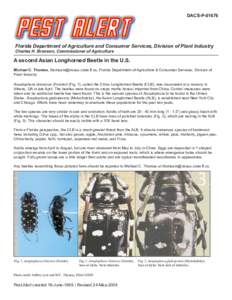 DACS-P[removed]Florida Department of Agriculture and Consumer Services, Division of Plant Industry Charles H. Bronson, Commissioner of Agriculture  A second Asian Longhorned Beetle in the U.S.