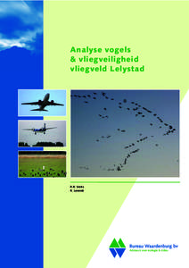 Analyse vogels & vliegveiligheid vliegveld Lelystad R.R. Smits R. Lensink