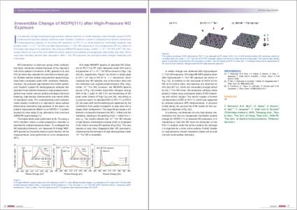 3 Chemical and Environmental Science  PF Activity Report 2010 #28 Irreversible Change of NO/Pt(111) after High-Pressure NO Exposure