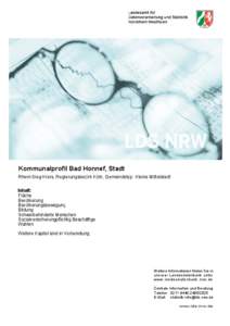 Kommunalprofil - Langfassung