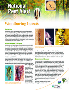 National Pest Alert Woodboring Insects Distribution Woodboring insects attack a wide range of economically important trees and shrubs throughout the United States. Awareness of the problem has been growing because of rep