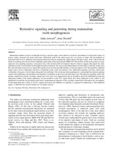Mechanisms of Development±29 www.elsevier.com/locate/modo Reiterative signaling and patterning during mammalian tooth morphogenesis Jukka Jernvall*, Irma Thesleff 1