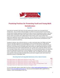 Promising Practices for Preventing Youth and Young Adult Homelessness May 2014 Youth who are involved in the foster care and juvenile justice systems are at increased risk of homelessness. Over one third of all youth agi