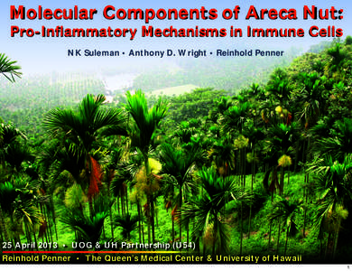 Molecular Components of Areca Nut: Pro-Inflammatory Mechanisms in Immune Cells NK Suleman • Anthony D. Wright • Reinhold Penner 25 April 2013 • UOG & UH Partnership (U54) Reinhold Penner • The Queen’s Medical C