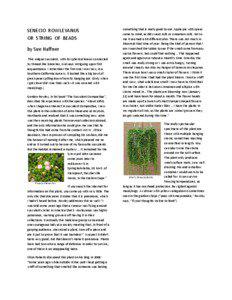 Succulent plant / Senecio rowleyanus / Flower / Senecio / Cactus / Plant morphology / Botany / Biology