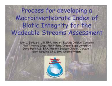 Process for developing a Macroinvertebrate Index of Biotic Integrity for the Wadeable Streams Assessment John L. Stoddard (U.S. EPA, Western Ecology Division, Corvallis) Alan T. Herlihy (Dept. Fish Wildlife, Oregon State