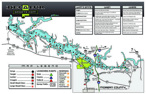 Geography of the United States / Tennessee River / Tennessee Valley Authority / Decatur Metropolitan Area / Florence – Muscle Shoals metropolitan area / Pickwick Lake / Decatur /  Alabama / Spring Creek / Wheeler Lake / Geography of Alabama / Alabama / Huntsville–Decatur Combined Statistical Area