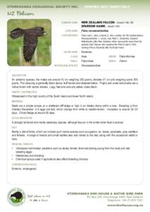 OTOROHANGA ZOOLOGICAL SOCIETY INC.	  SPECIES FACT SHEET NO.7 NZ Falcon