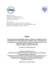 Working Group for Cooperation on Children at Risk Children that Commit Crime and lead a Self Destructive Lifestyle Рабочая группа сотрудничества по проблемам детей группы 