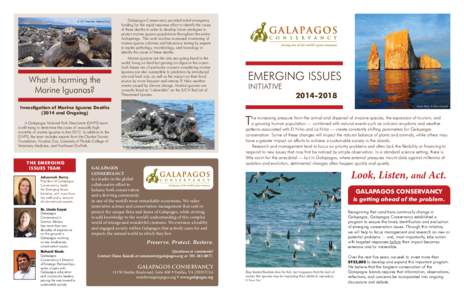 © GC Member, Melissa Cruz  What is harming the Marine Iguanas?  	 Galapagos Conservancy provided initial emergency